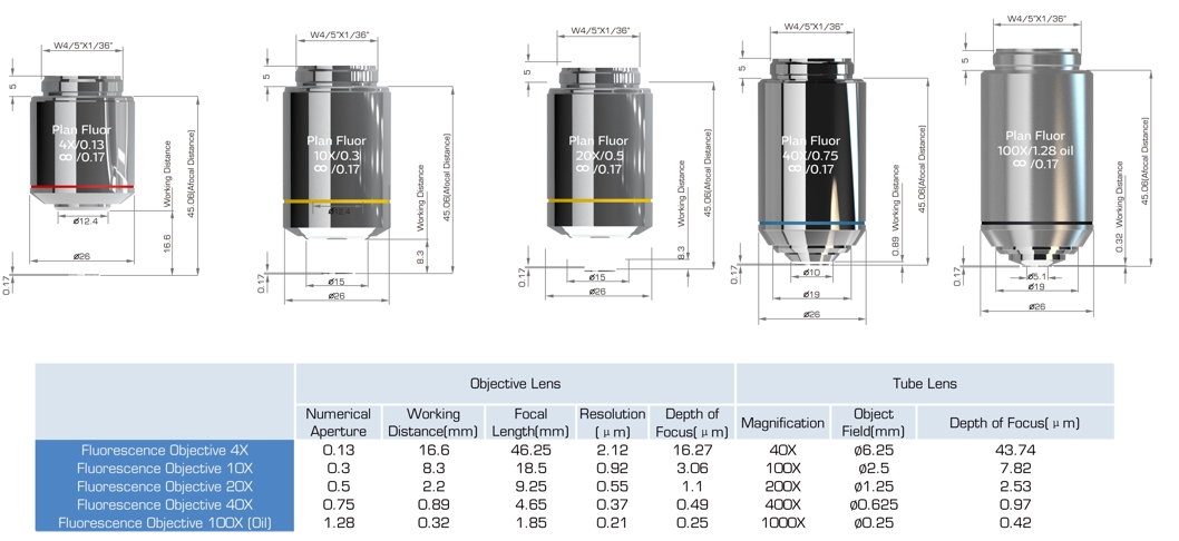 Fluorescence Objective Lens