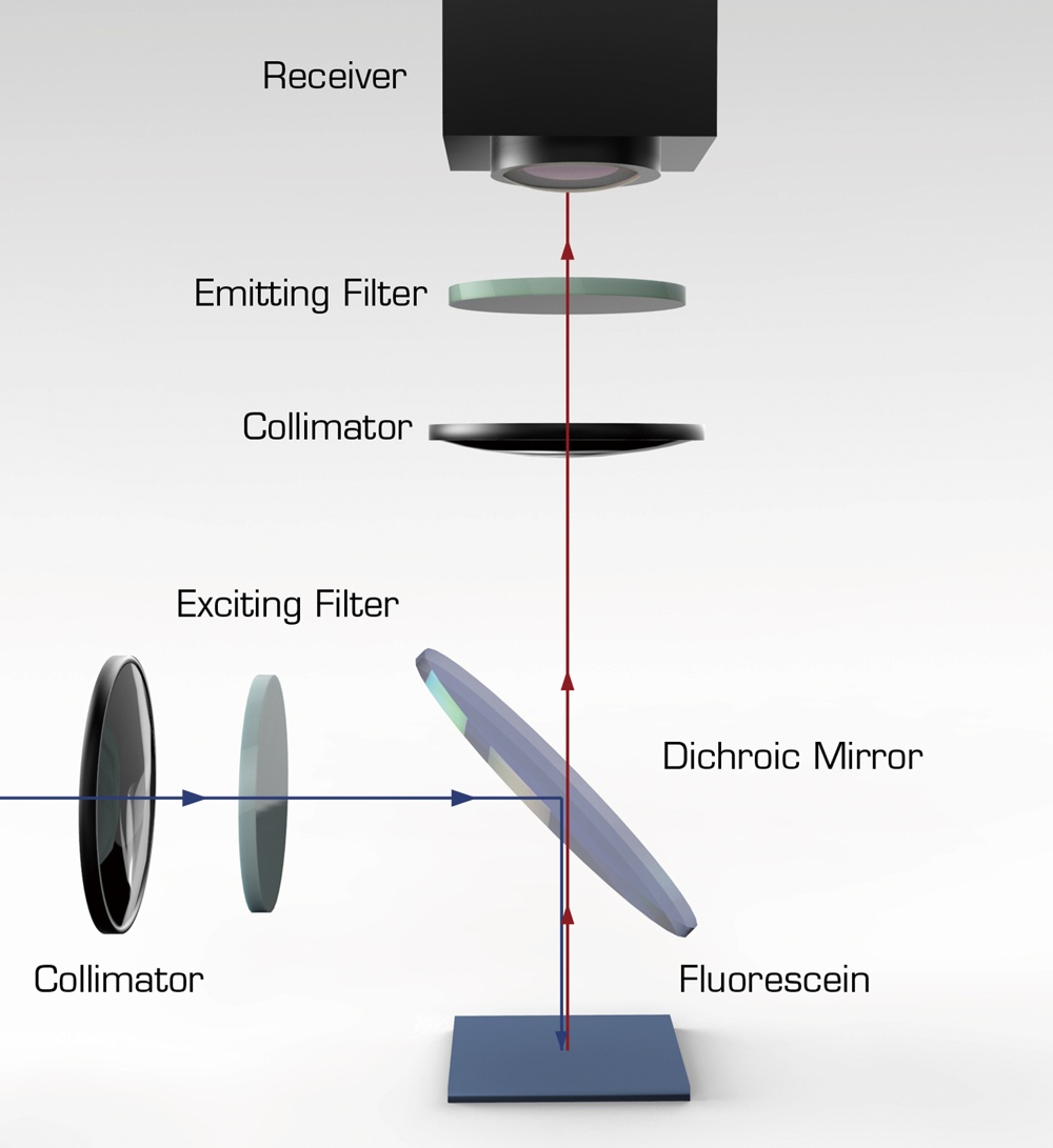 Fluorescent filters 